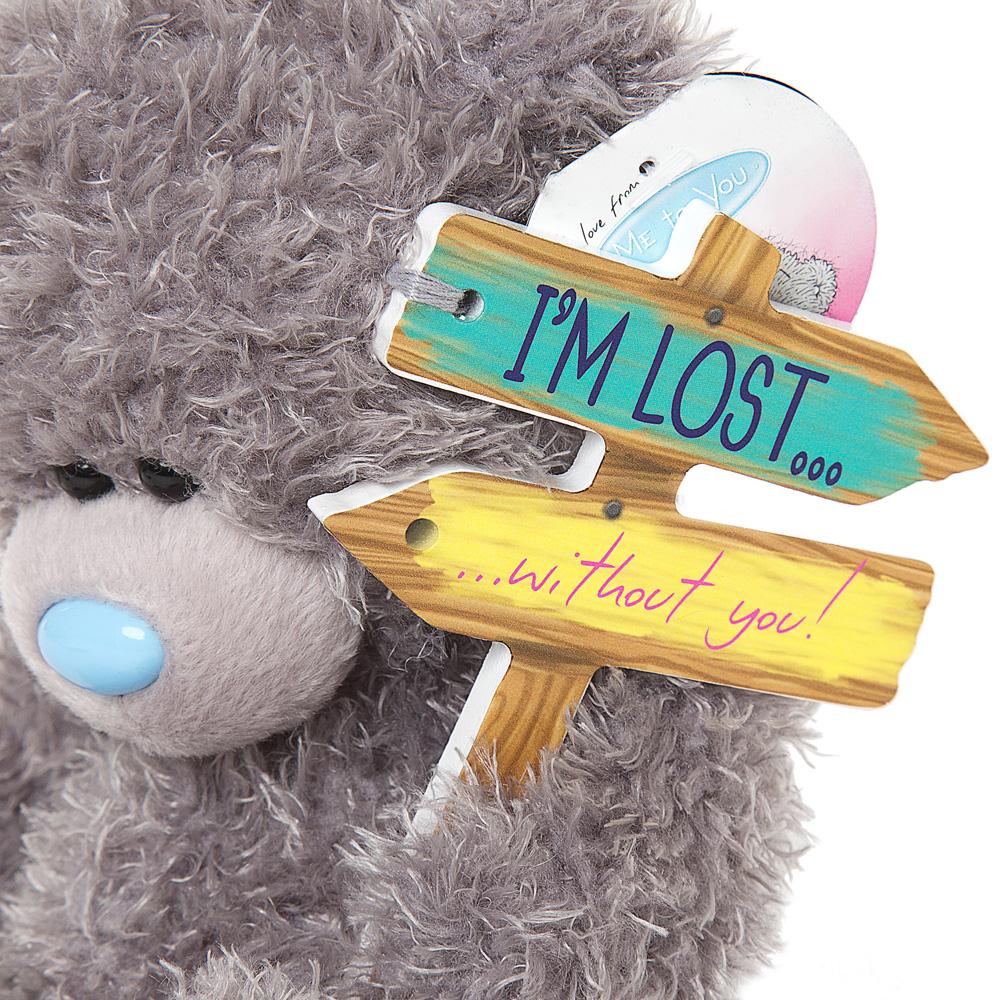 7" Lost Without You Signpost Me to You Bear Extra Image 3